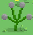 Thumbnail for version as of 13:46, 6 April 2025