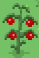 Thumbnail for version as of 13:50, 6 April 2025
